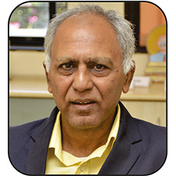 Prof. Dr. Hemendra Singh